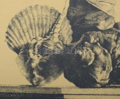 Párkányi Raab Péter (1967-): A gyöngy születése. Cinkográfia, papír, jelzett, 52x31,5 cm