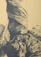 Párkányi Raab Péter (1967-): A gyöngy születése. Cinkográfia, papír, jelzett, 52x31,5 cm