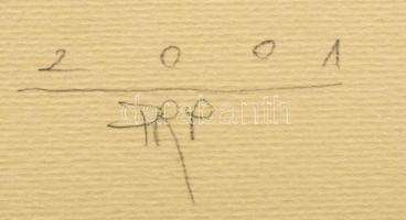 Párkányi Raab Péter (1967-): A gyöngy születése. Cinkográfia, papír, jelzett, 52x31,5 cm