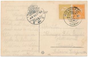 1908 Menyháza, Monyásza, Moneasa; Paradeiser villák, kisvasút, vasútállomás, gőzmozdony, vonat / vil...