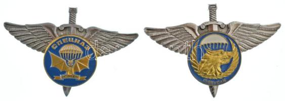 Szovjetunió DN Különleges Erők Ejtőernyős jelvénye csavaros hátlappal (2xklf) T:AU Soviet Union ND Army Special Forces Paratrooper badge with screw back (2xdiff) C:AU