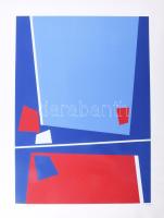 Joseph Kádár (1936-2019): Konstruktivista kompozíció. Szitanyomat, papír. Jelzett. Számozott (90/100). Lap széle foltos. 54,5x40 cm