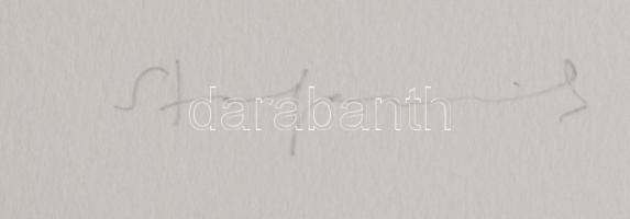 Stefanovits Péter (1947-): Meditációs tér I, 1995. Szitanyomat, karton, jelzett. Próbanyomat próba n...