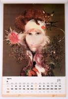 1971 Szász Endre festőművész munkáinak reprodukcióival illusztrált, nagyméretű falinaptár, 56x38 cm