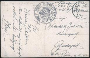 1917 Tábori posta képeslap / Field postcard "K.u.k. INFT. RGMT. KRAY No.87." + "FP 107 a"