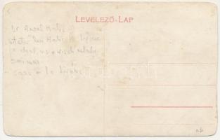 Lippa, Lipova; Dr. Halic szőlőhegyi villája, Dr. Halic-féle ház / doctor's villa and house (vág...