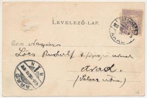 1900 Menyháza, Monyásza, Moneasa; vendéglő, étterem kertje vendégekkel és zenészekkel / restaurant g...