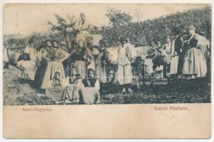 Ópálos, Ó-Pálos, Ópaulis, Paulis (Arad-Hegyalja); szüret ökrökkel, erdélyi folklór / harvest with oxen, Transylvanian folklore (EM)