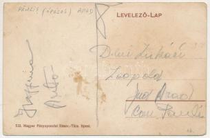 Ópálos, Ó-Pálos, Ópaulis, Paulis (Arad-Hegyalja); szüret ökrökkel, erdélyi folklór / harvest with ox...