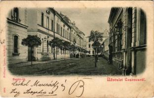 1900 Losonc, Lucenec; Sugár út. Redlinger Ignác kiadása / street view (kis szakadás / small tear)