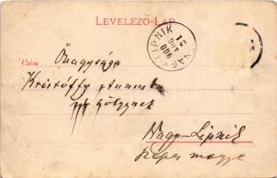 1900 Losonc, Lucenec; Sugár út. Redlinger Ignác kiadása / street view (kis szakadás / small tear)