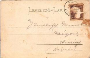 1901 Garamszentkereszt, Sväty Kríz nad Hronom, Ziar nad Hronom; Püspöki kastély / bishop's cast...