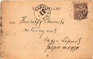 1900 Rozsnyó, Roznava; Rákóczi tér, Kováts Vass Gizella és Társa üzlete. Pauchly Nándor kiadása / sq...