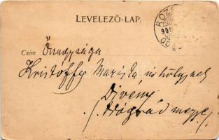 1900 Rozsnyó, Roznava; Berzéti utca, Phönix biztosító, üzletek. Pauchly Nándor kiadása / street view...