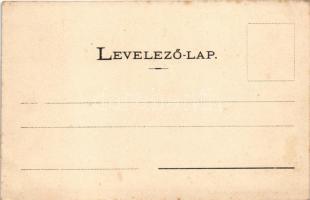 Tokaj, Kicsinkó Antal szőlője és villája. Ignáczy Géza fényképész felvétele (fl)