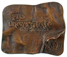 1970 k. "Pro Universitate / Marx Károly Közgazdaságtudományi Egyetem" nagyalakú bronz plakett, márványtalp nélkül (98x110mm) T:XF az alsó perem mentén felületesen eldolgozott anyagtöbblet