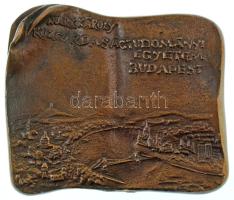 1970 k. "Pro Universitate / Marx Károly Közgazdaságtudományi Egyetem" nagyalakú bronz plak...