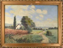 Szentmiklóssy M. Sándor (?-?): Táj. Olaj, vászon, jelzett. Apró sérülésekkel. Dekoratív, sérült fakeretben, 47x66 cm