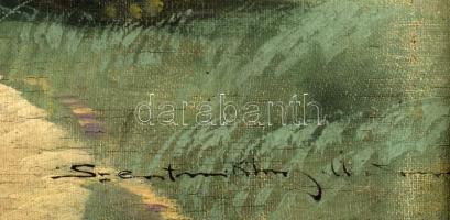 Szentmiklóssy M. Sándor (?-?): Táj. Olaj, vászon, jelzett. Apró sérülésekkel. Dekoratív, sérült fake...