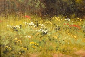 Barsi Béla (1872-1913): Hazafelé. Olaj, vászon. Jelzett. Dekoratív fakeretben. 40x50 cm