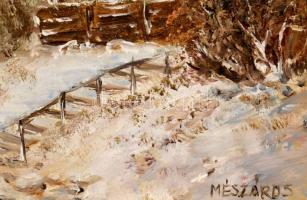 Mészáros jelzéssel, XX. sz. vége/XXI. sz. eleje (Mészáros Erzsébet?): Téli táj. Olaj, fatábla. Dekor...