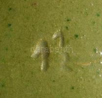 Szilke. Alföld, cca 20. sz.eleje, mázátrepedéssel, m: 15,5 cm