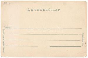 Kernyesd, Carnesti; Gróf Thoroczkay kastély (lebontották). Kendoff A. és fia kiadása / castle (demol...