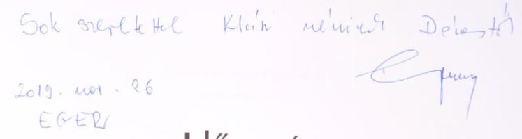 Karácsony István: Időutazás. 130 év a torna történetében. Fényképalbum rólunk, tornászokról, verseny...