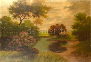 Zombory Sz. J. jelzéssel, 1920-40 körül: Virágzó park. Olaj, vászon. Hátoldalán vakrámán és vásznon Szalmásy Zsigmond Képszalonja Budapest bélyegzésével (1930-35 körül). Egészen apró sérülésekkel. 75×100 cm