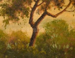 Zombory Sz. J. jelzéssel, 1920-40 körül: Virágzó park. Olaj, vászon. Hátoldalán vakrámán és vásznon ...