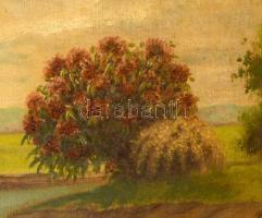 Zombory Sz. J. jelzéssel, 1920-40 körül: Virágzó park. Olaj, vászon. Hátoldalán vakrámán és vásznon ...