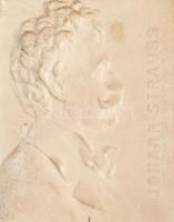 8 darab zeneszerzőket ábrázoló gipsz/fajansz plakett, kopással, 6,5x6 cm