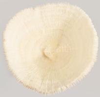 2 darab korall, d: 12-20 cm