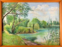 T. Visy Ilona (1920-2023): Délegyháza, 2. tó, 1978. Pasztell, papír. Jelzett. Üvegezett fakeretben. 50x65 cm