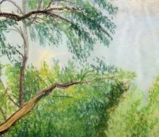 T. Visy Ilona (1920-2023): Délegyháza, 2. tó, 1978. Pasztell, papír. Jelzett. Üvegezett fakeretben. ...