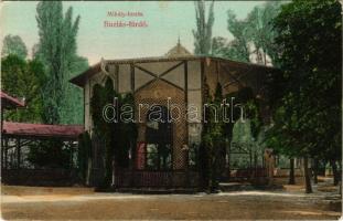 Buziásfürdő, Baile Buzias; Mihály-forrás. Heksch Manó kiadása / spa, mineral spring (Rb)