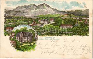 1898 Budapest XI. Kelenföld, Mattoni-féle Erzsébet királyné sósfürdő. Posner Art Nouveau (EK)