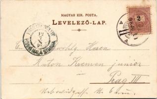 1898 Budapest XI. Kelenföld, Mattoni-féle Erzsébet királyné sósfürdő. Posner Art Nouveau (EK)