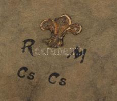 1921 R[egnum] M[arianum] cs[erkész]cs[apat] Senyővölgyi cserkésztábor 1921. jul. 4. - aug. 6. fotóal...