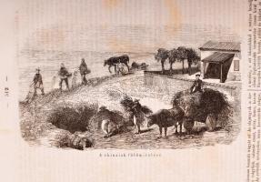 1857 Napkelet folyóirat 26-52. számok, 1857. julius 5. - december 27. Fél évfolyam. Szerk.: Vahot Im...