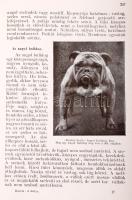 Ilosvai Lajos Károly: A kutya sportszerű tenyésztése, nevelése és idomítása. Részletes vezérfonal eb...