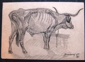 1915 Zombory Lajos (1867-1933): Sovány ökör, jelzett, ceruza-papír, 42x29 cm