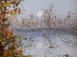 Losonci Lilla (1930-): Tiszapart. Olaj, farost, jelzett. Dekoratív fakeretben, 10×15 cm