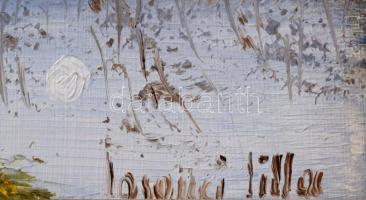 Losonci Lilla (1930-): Tiszapart. Olaj, farost, jelzett. Dekoratív fakeretben, 10×15 cm