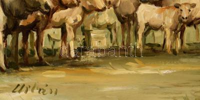 Urbán Gábor (1946-): Gulyás. Olaj, farost, jelzett, dekoratív fakeretben, 20x25 cm