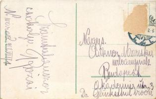 1918 Nagyvárad, Oradea; Rákóczi út, Darvasy és Gerliczy paloták. Boros Jenő kiadása / street view, p...