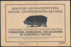 cca 1920-1930 Magyar Gazdaszövetség angol tenyészsertés-akciója, Angliából importált sertésfajtákat ismertető prospektus, Bp., Pátria-ny., 4 p.