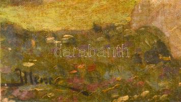 Illencz Lipót (1882-1950): Lány virágokkal. Olaj, vászon, jelezve balra lent. 20×20 cm