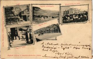 1901 Dés, Dej; Szolnok-Doboka Vármegyei Gazdasági Egylet irodája, egyleti csikólegelője, raktára és kertje, Bikakiállítás és vásár télen. Kapható Galóczi S. könyvkereskedésében / Solnoc-Dabaca County Economic Association's office, warehouse, garden and pasture, bull exhibition and market in winter. Art Nouveau (ragasztónyom / glue marks)