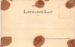 1901 Dés, Dej; Szolnok-Doboka Vármegyei Gazdasági Egylet irodája, egyleti csikólegelője, raktára és ...